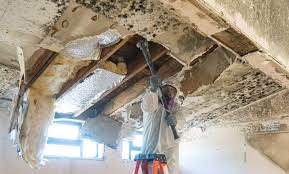 Asbestos and Lead Testing During Mold Inspection in Eden, TX